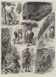 Houtkap in de bossen van Oostenrijk en Beieren